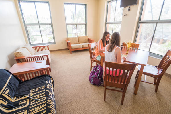 Residence hall common room