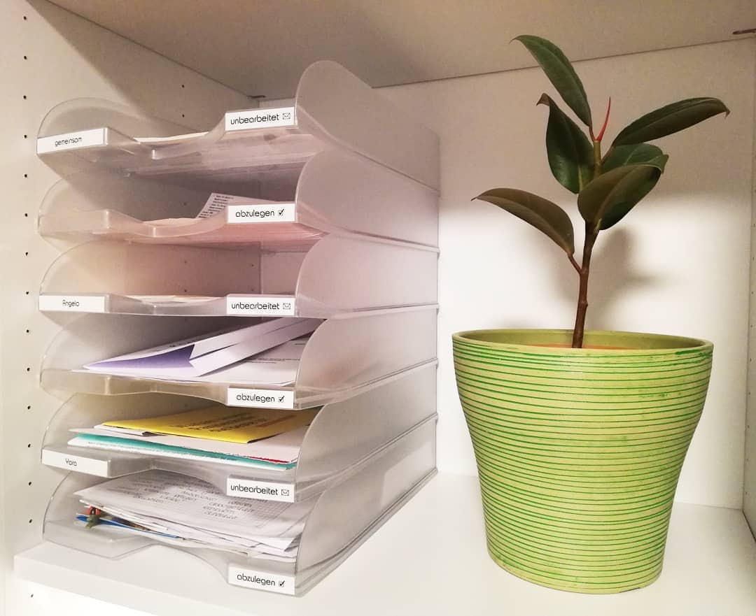 files and plant